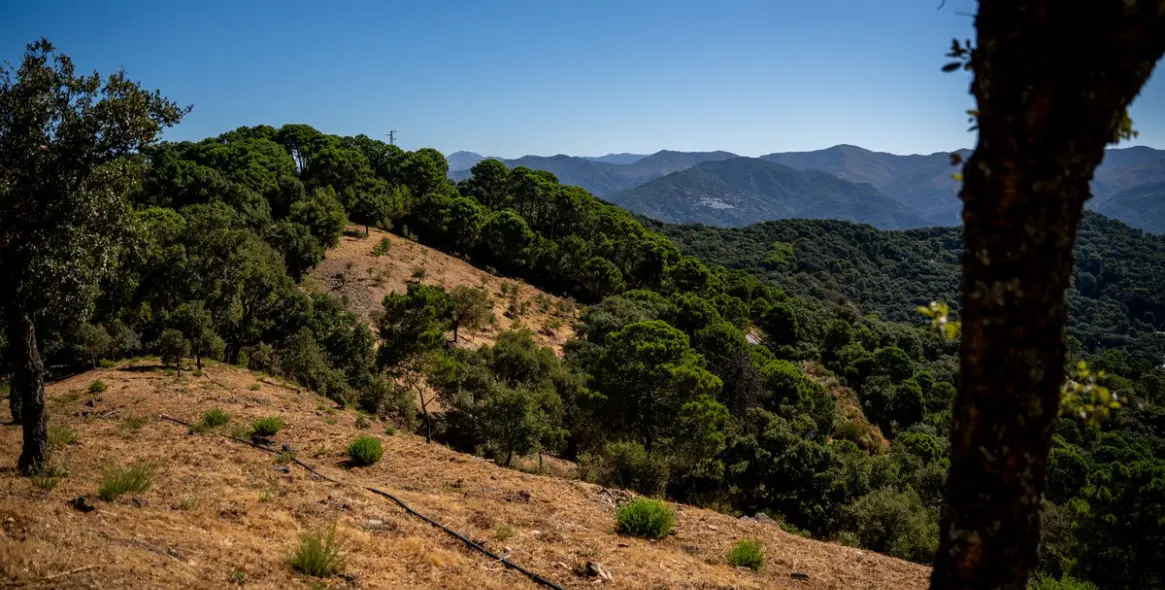 Продажа  отдельно стоящей виллы в Gaucín 73