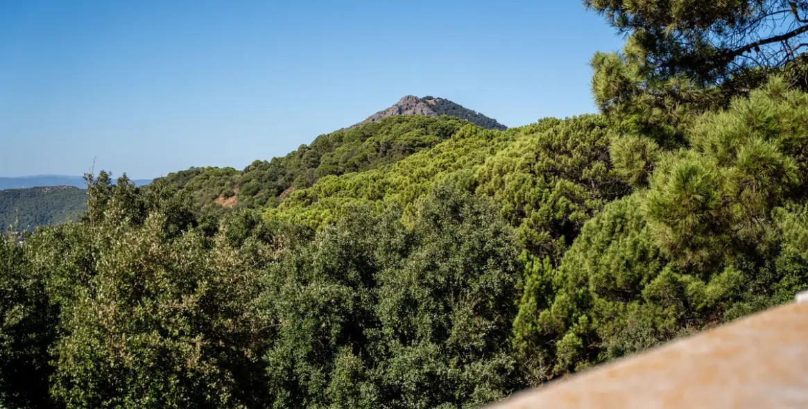 Продажа  отдельно стоящей виллы в Gaucín 78