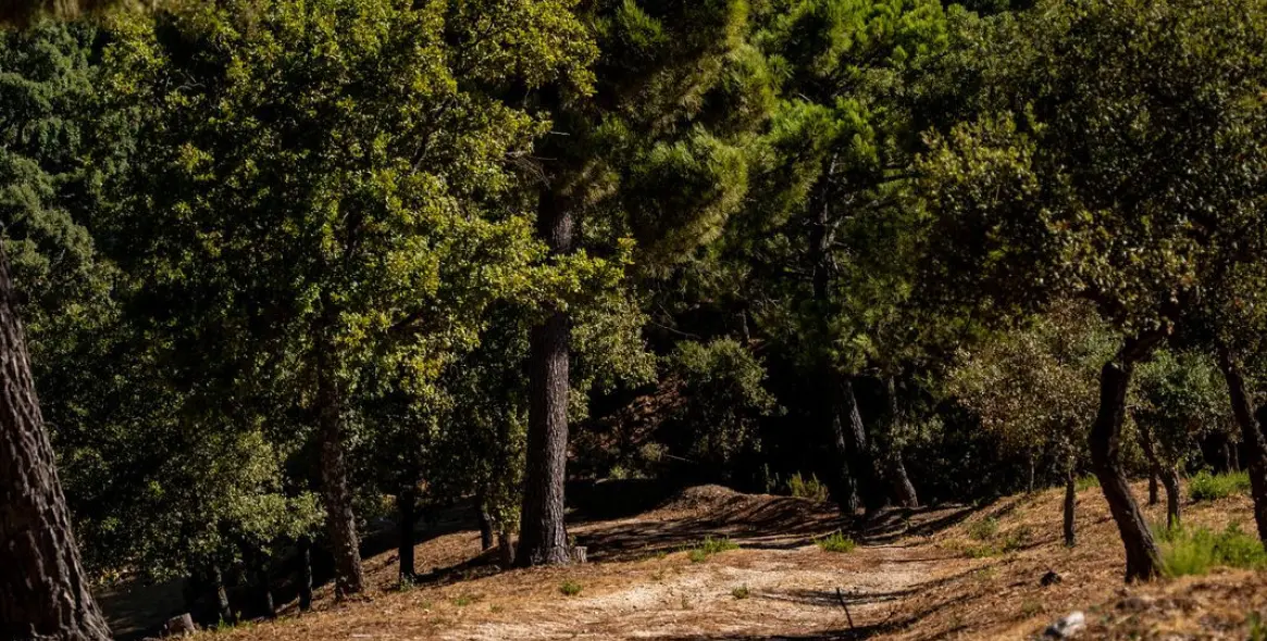 Продажа  отдельно стоящей виллы в Gaucín 83