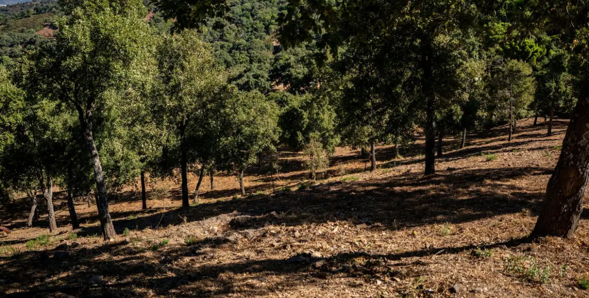 Продажа  отдельно стоящей виллы в Gaucín 90