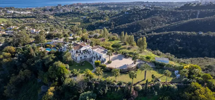 Продажа  отдельно стоящей виллы в Estepona 2