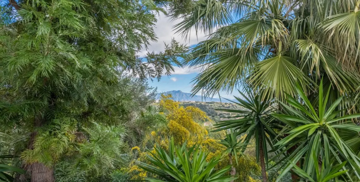 Продажа  отдельно стоящей виллы в Estepona 30