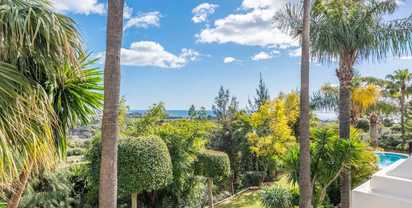 Sale of detached villa in Estepona 25