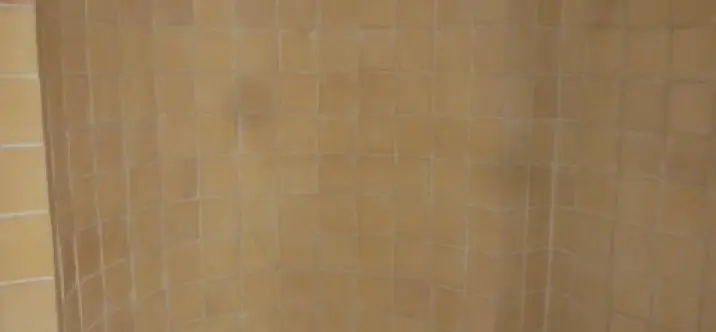 Продажа  отдельно стоящей виллы в Benahavís 1