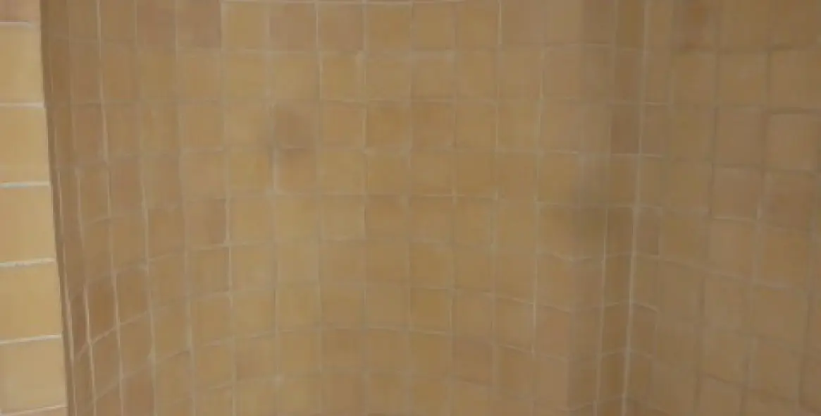 Sale of detached villa in Benahavís 2