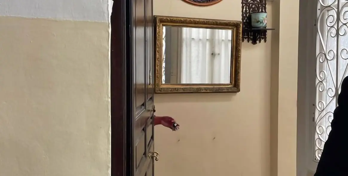 Venta de complejo de apartamentos en Málaga Centro 10