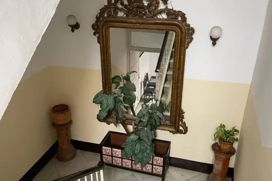 Image 9 thumb