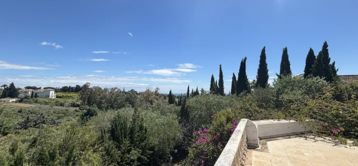 Sale of detached villa in The Golden Mile 1