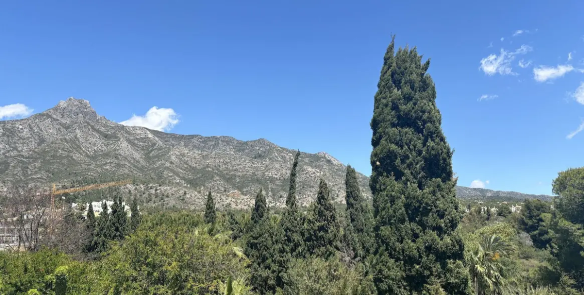 Sale of detached villa in The Golden Mile 3