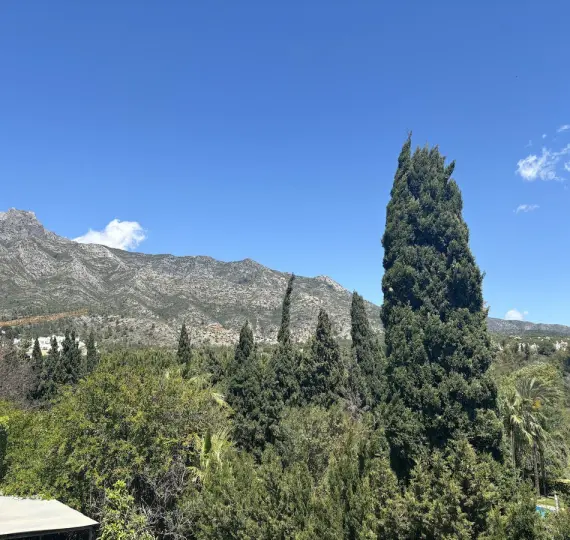 Sale of detached villa in The Golden Mile