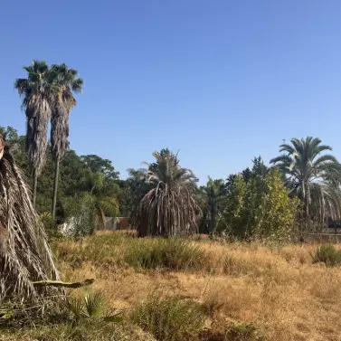 Venta de parcela residencial en Nagüeles