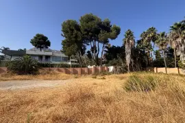 Image 7 thumb