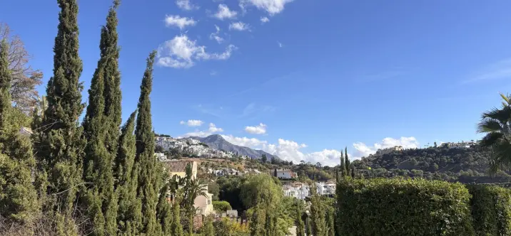 Продажа  отдельно стоящей виллы в Benahavís 3