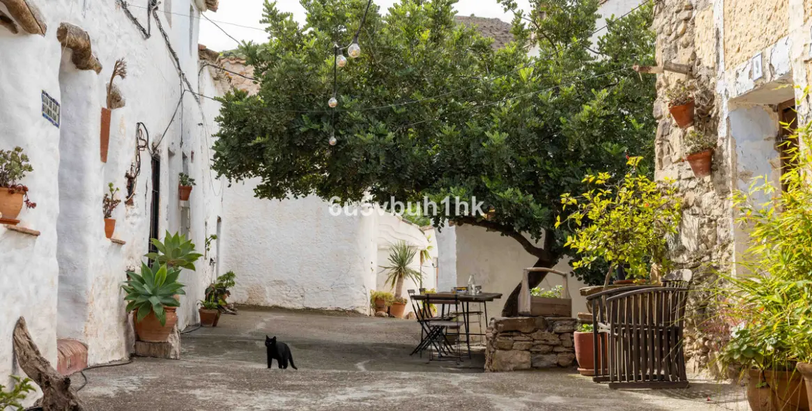 Sale of townhouse in Vinuela 1