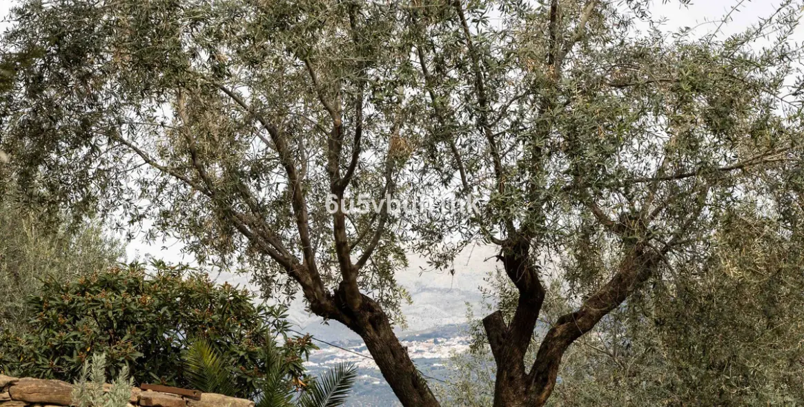 Sale of townhouse in Vinuela 40