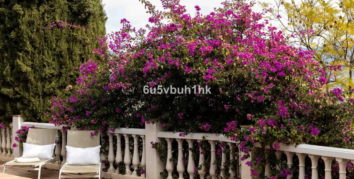 Sale of townhouse in Vinuela 42
