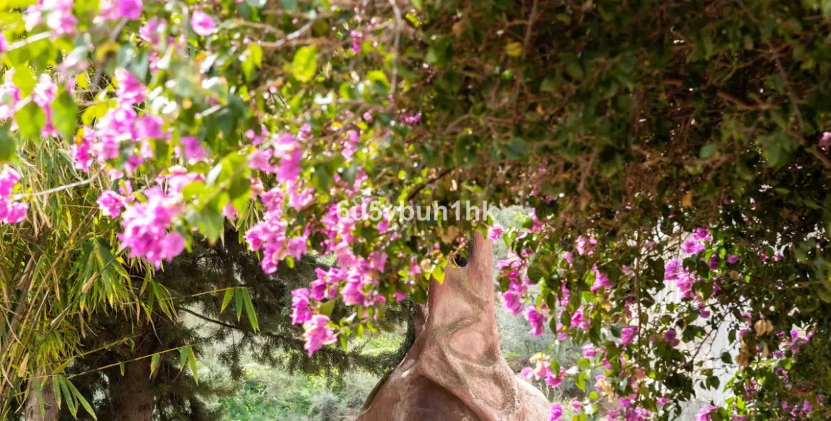Sale of townhouse in Vinuela 43