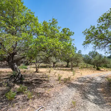 Sale of residential plot in La Zagaleta