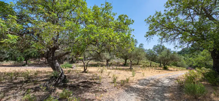 Sale of residential plot in La Zagaleta 3