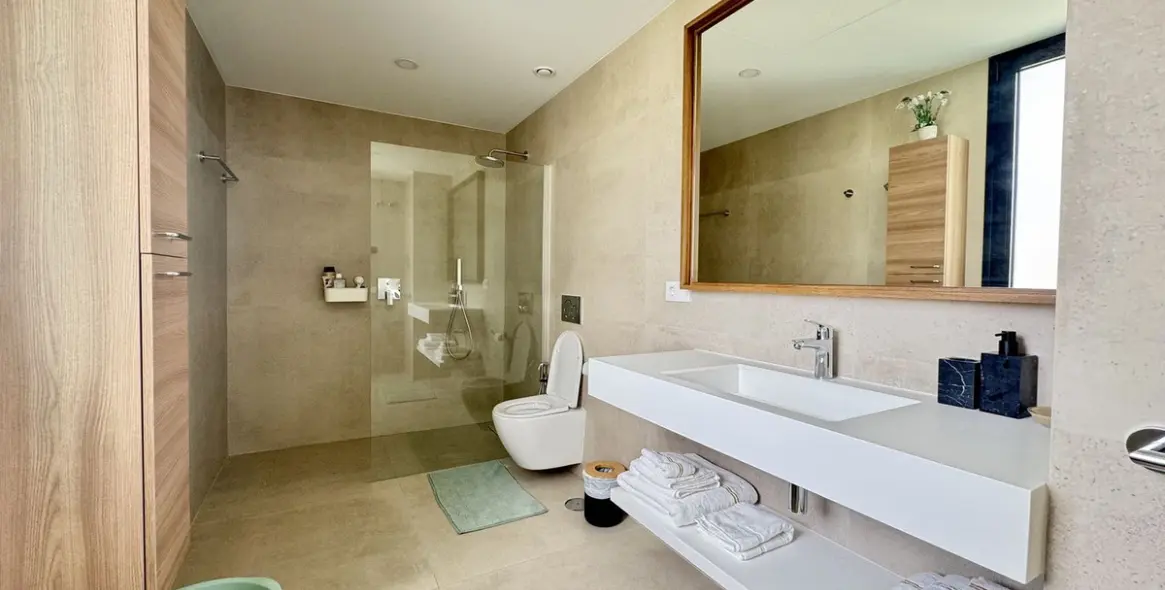 Sale of detached villa in Cancelada 18