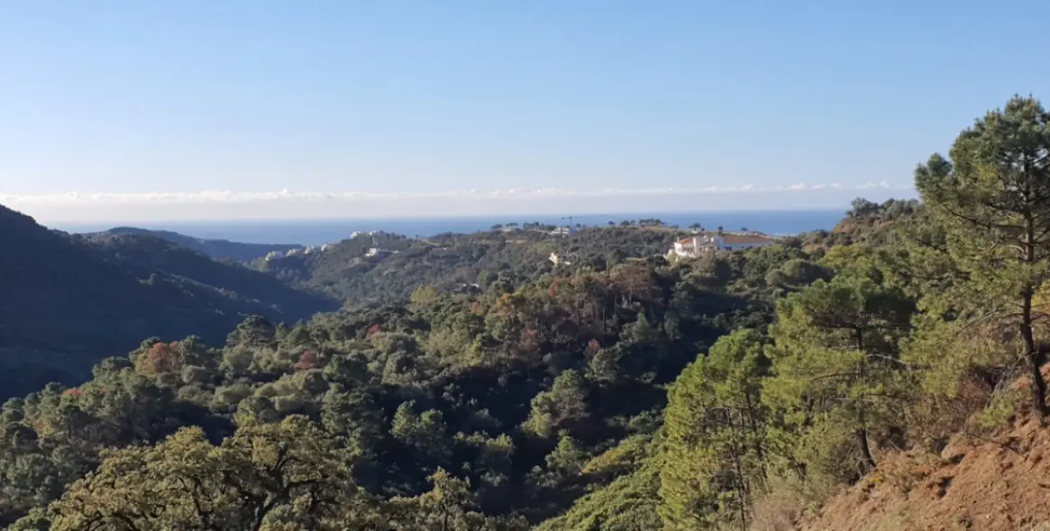 Sale of detached villa in Benahavís 6