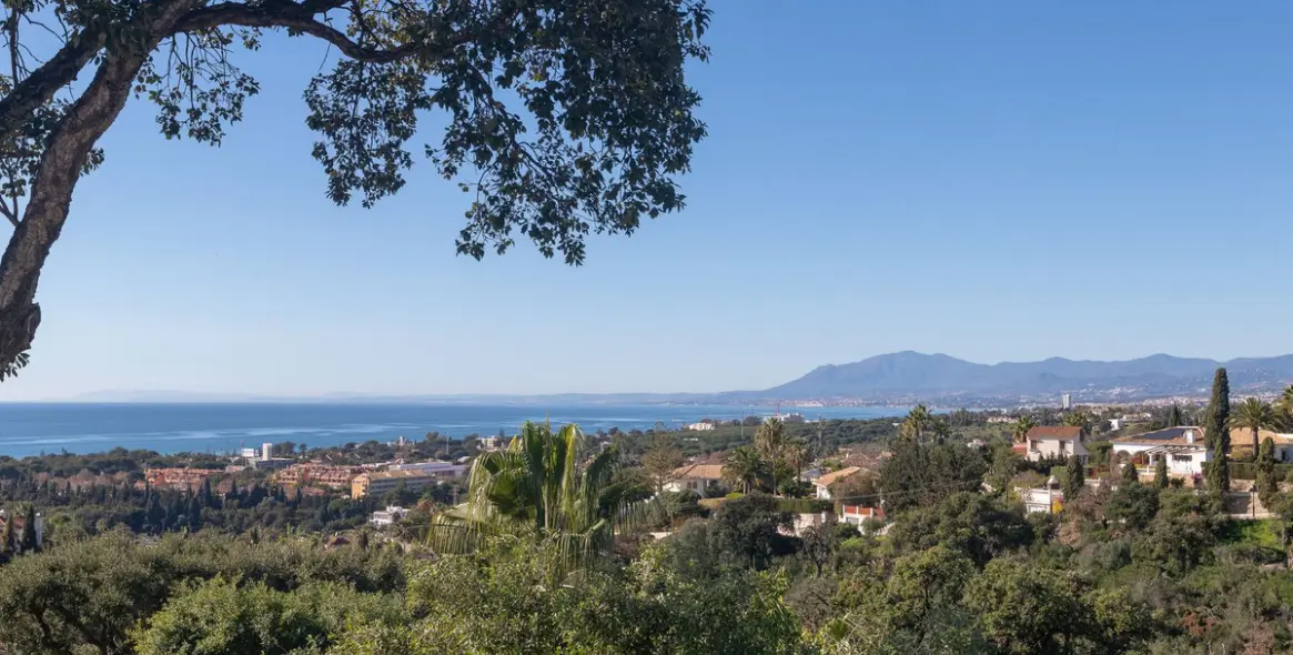 Продажа  отдельно стоящей виллы в Elviria 19