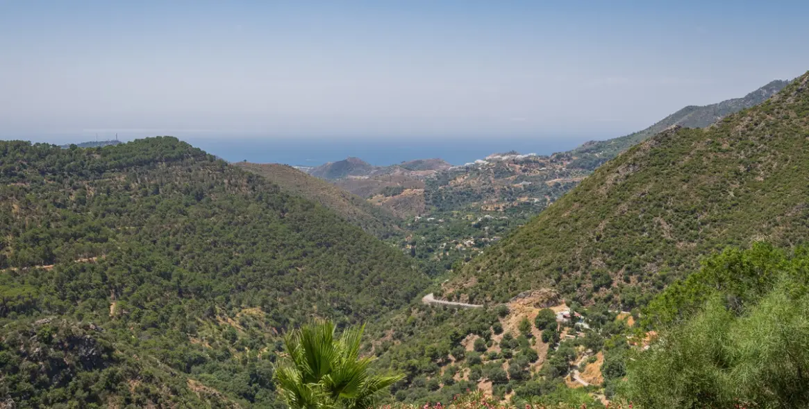 Sale of detached villa in Ojén 2