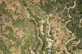 Image 6 thumb