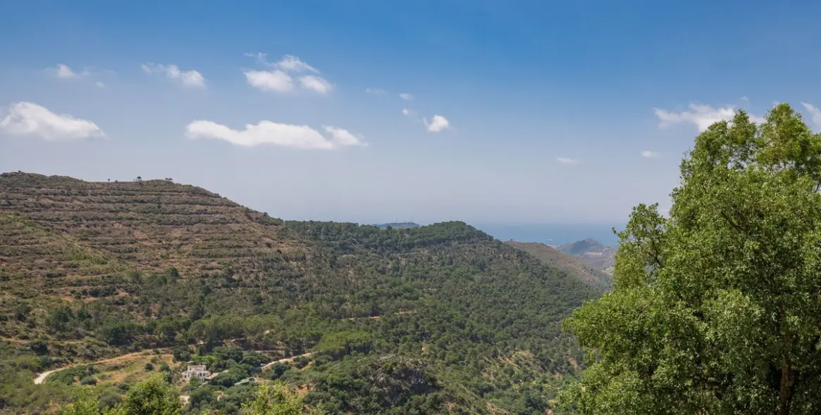 Sale of detached villa in Ojén 33