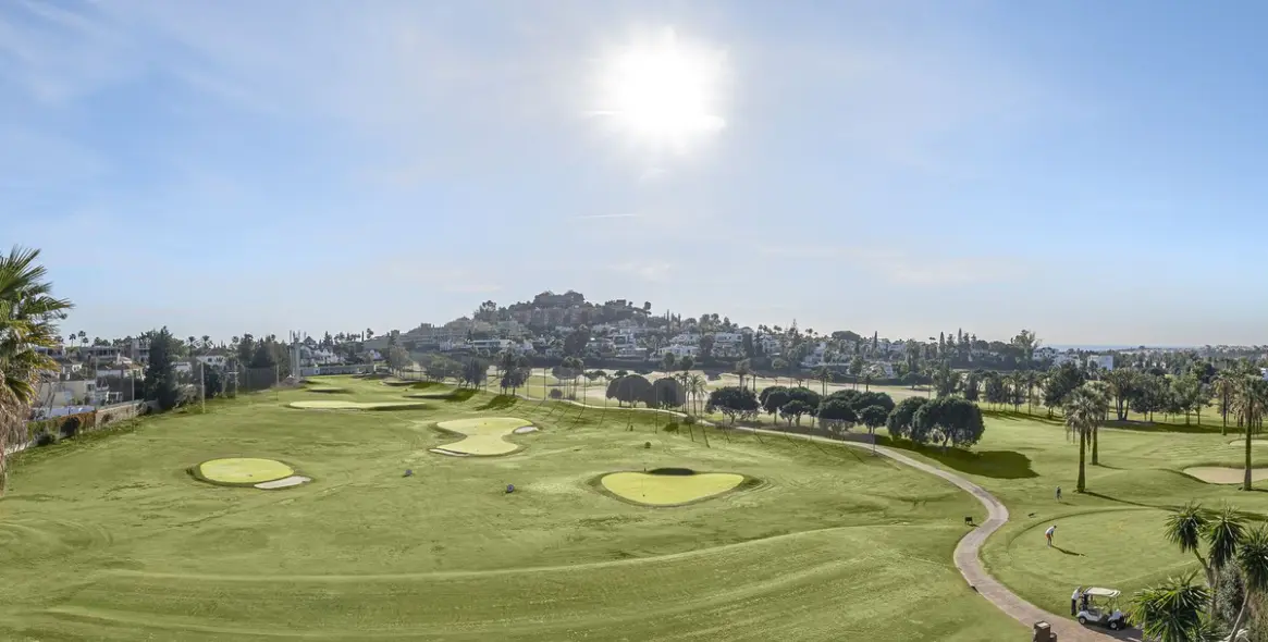 Продажа  отдельно стоящей виллы в Nueva Andalucía 5