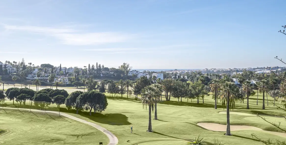 Продажа  отдельно стоящей виллы в Nueva Andalucía 6