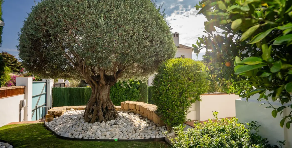 Venta de villa independiente en Guadalmina Baja 7