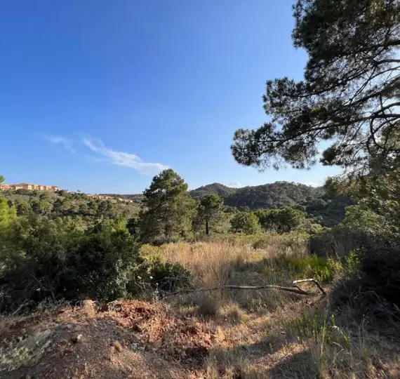 Parcela residencial R5196694