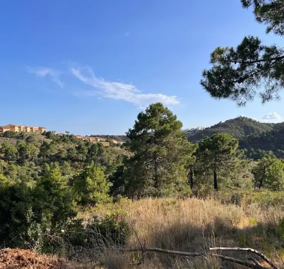 Parcela residencial R5196694