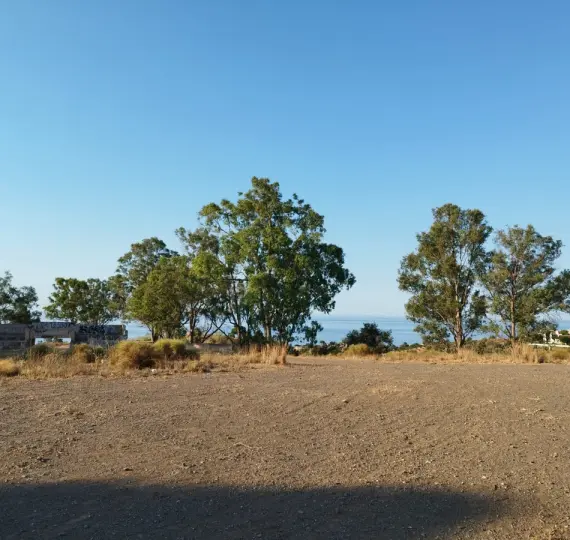 Residential plot R4100401