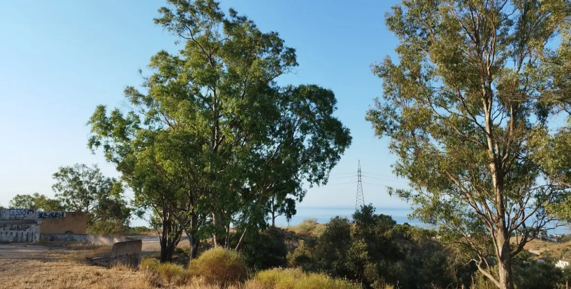 Sale of residential plot in Costa del Sol East 8