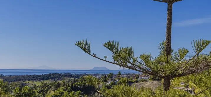 Sale of detached villa in El Paraiso 4