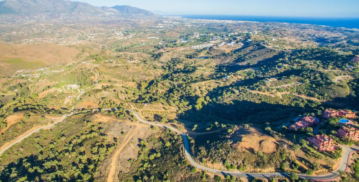 Sale of finca - cortijo in La Mairena 8