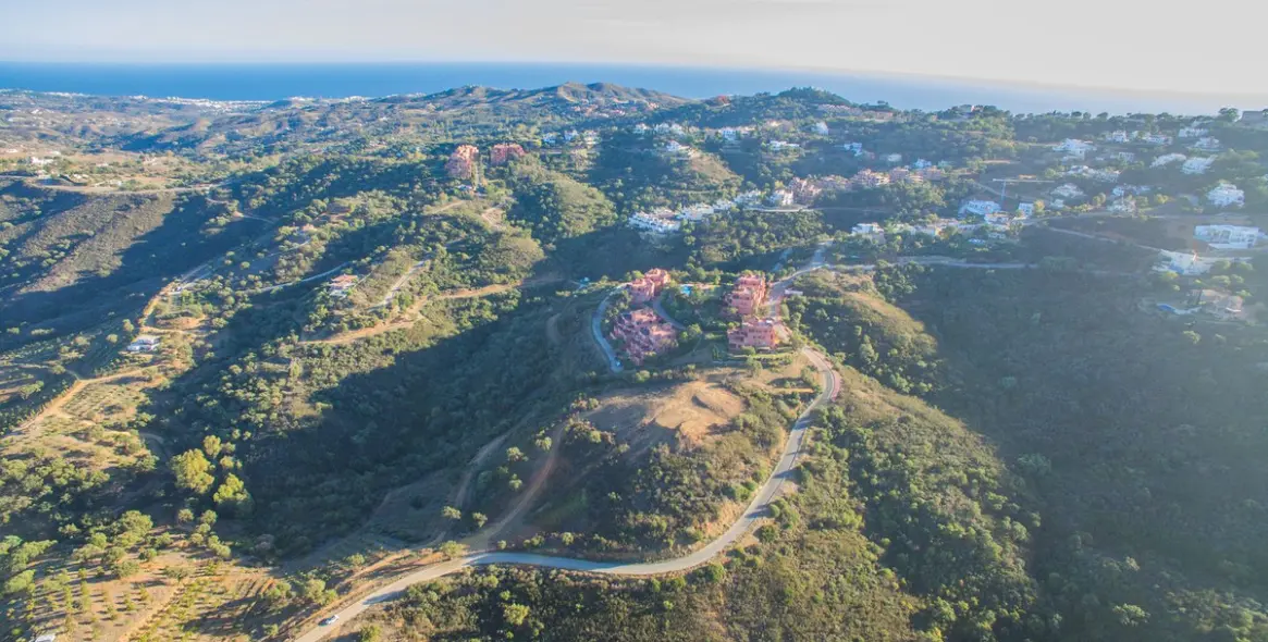 Sale of finca - cortijo in La Mairena 9