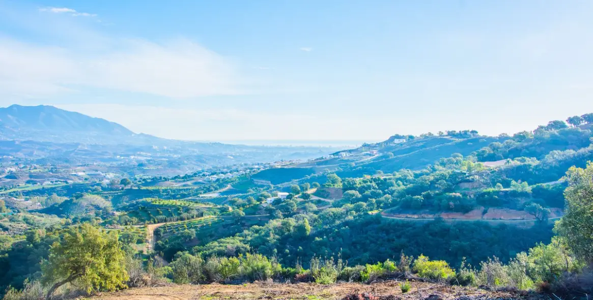 Sale of finca - cortijo in La Mairena 11