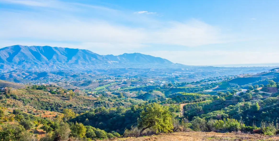 Sale of finca - cortijo in La Mairena 12