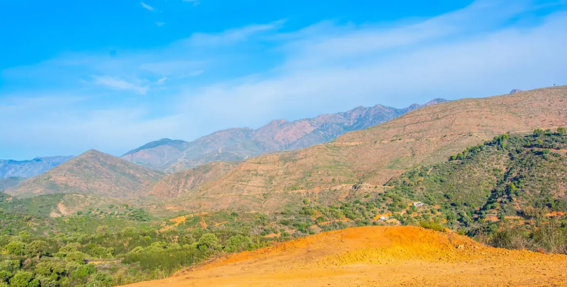 Sale of finca - cortijo in La Mairena 13