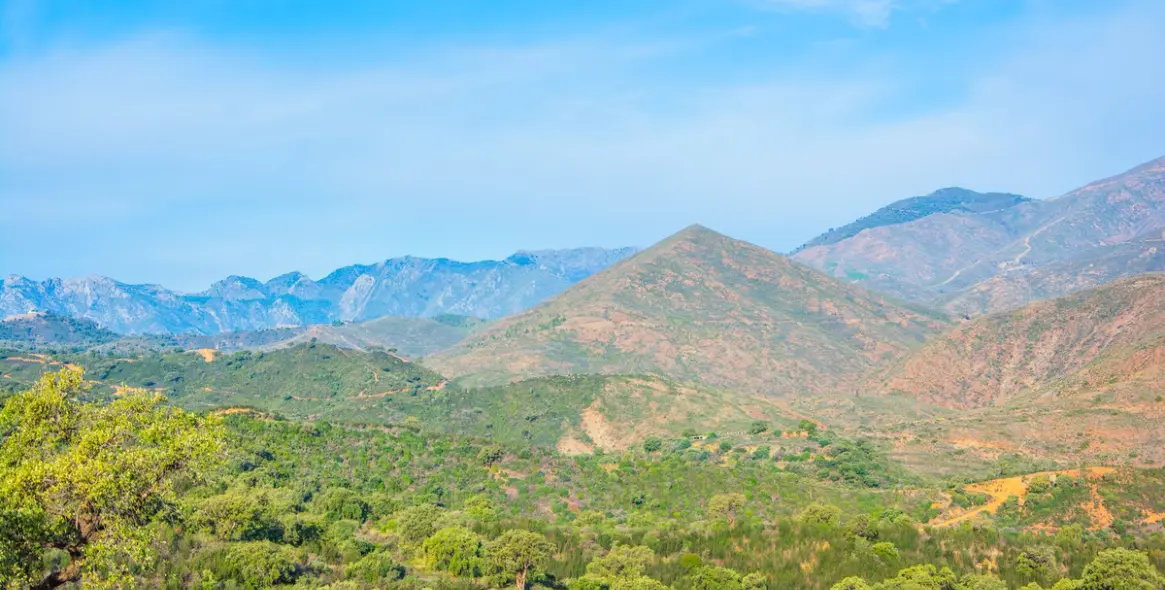 Sale of finca - cortijo in La Mairena 15