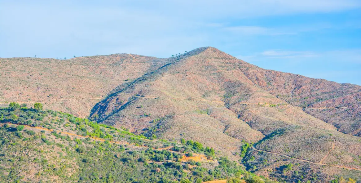 Sale of finca - cortijo in La Mairena 16