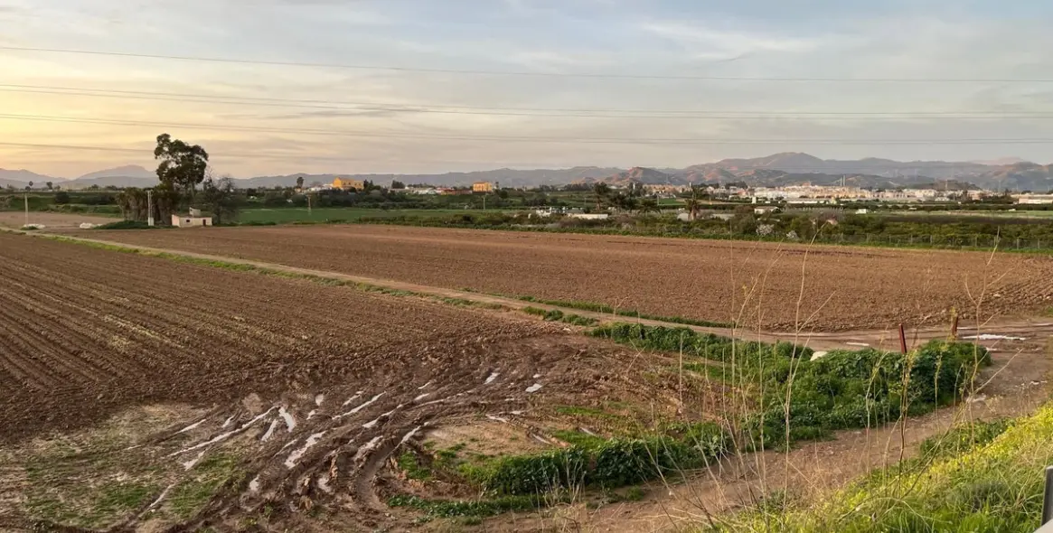 Sale of residential plot in Campanillas 2