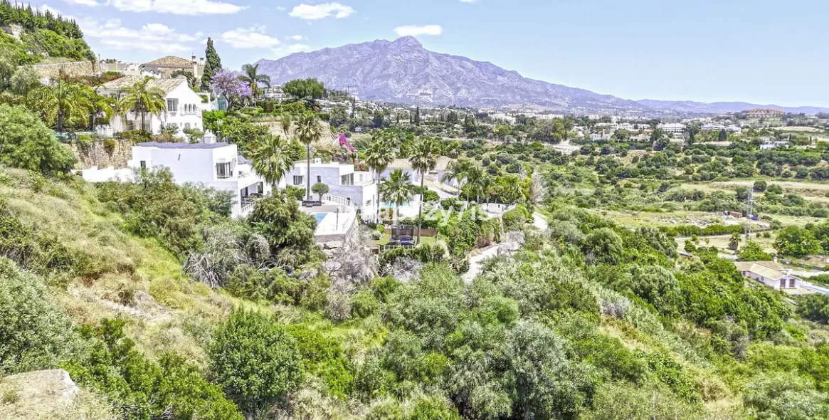 Sale of detached villa in Benahavís 4