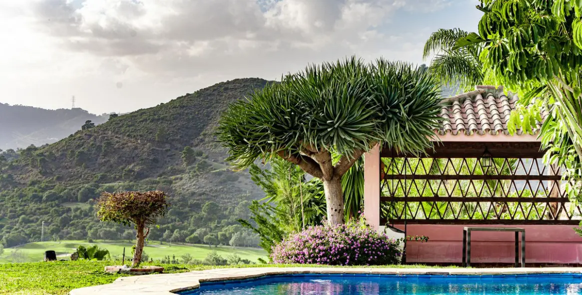 Sale of detached villa in Benahavís 5