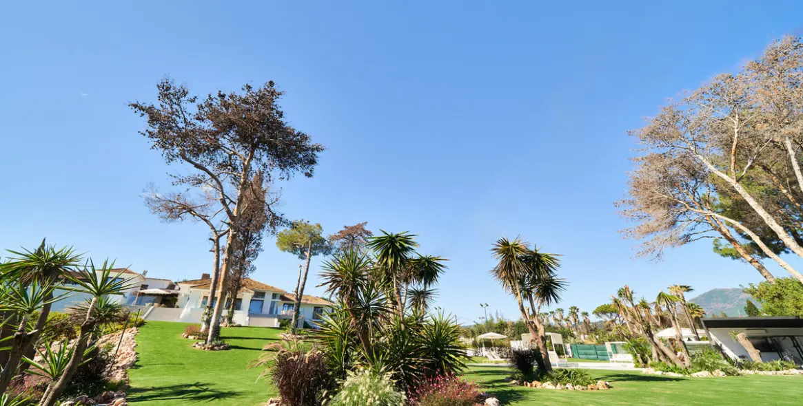 Sale of detached villa in San Pedro de Alcántara 55