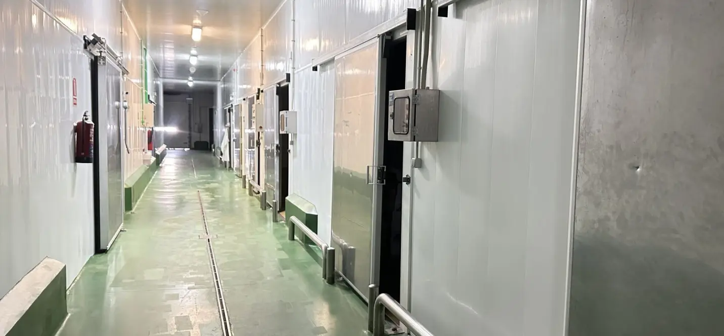 Продажа бизнеса в Málaga 0