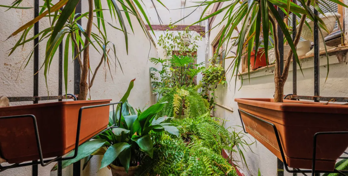 Продажа объекта в Centro Histórico 29